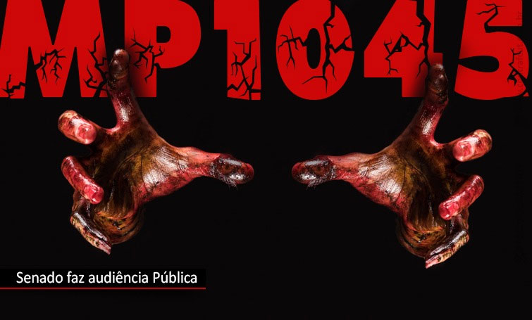 Capa da Notícia